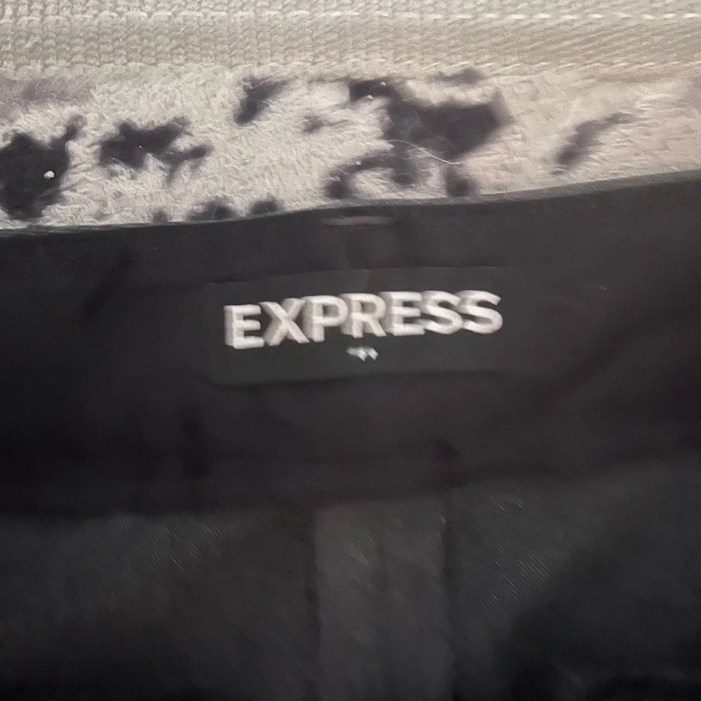 Express - Picture 4 of 4